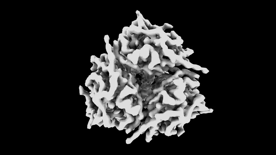 Balanced grey 360-degree surface rendering of the accepted EMPIAR-10097 final volume
